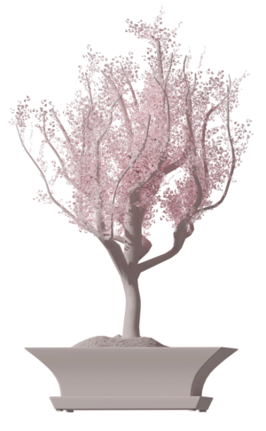 Bonsai drvo rozne boje koje se nalazi u roznoj kalenici
